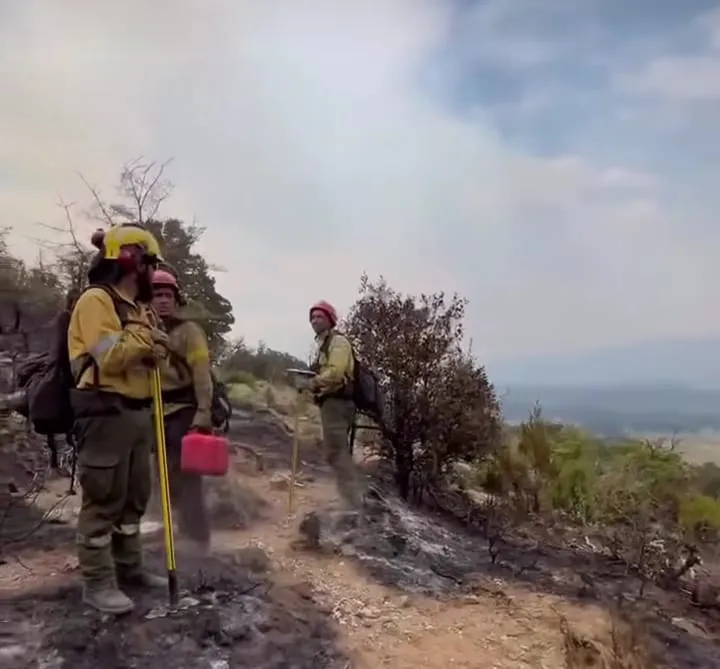 855d4f31-f9f9-479c-8551-ff2453859239