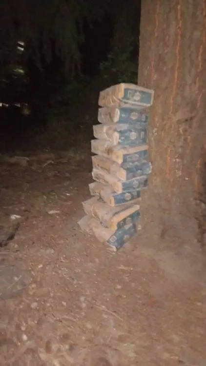 WhatsApp Image 2026-02-02 at 09.26.00