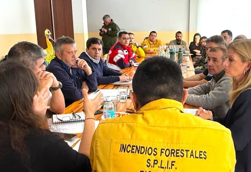 incendios forestales patagonia