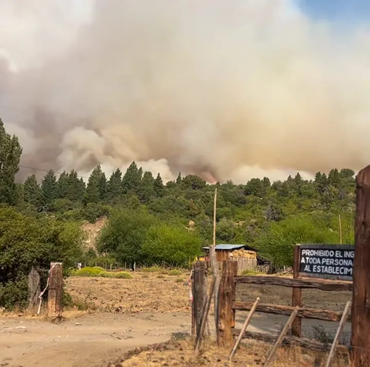 3bb2e853-9d61-4e8d-a613-95560ada4d06