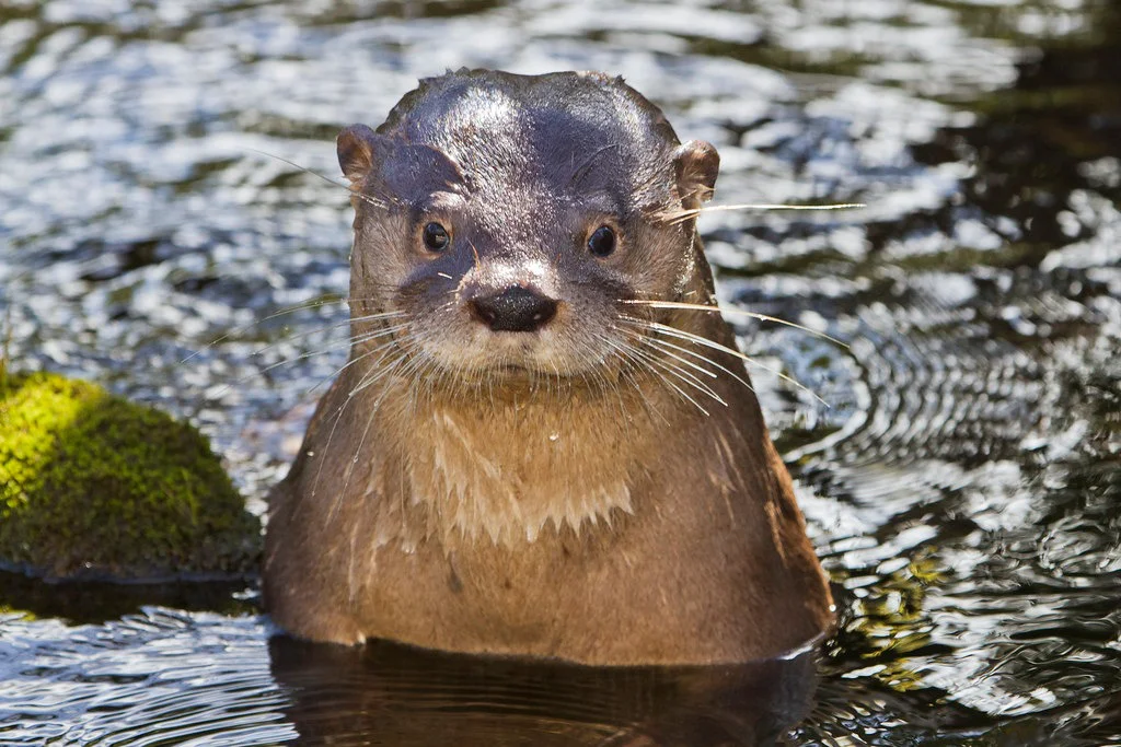 b96cae0b-2fdb-496b-bf9c-e84cd5763a17