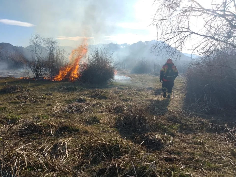 incendio cholila basura