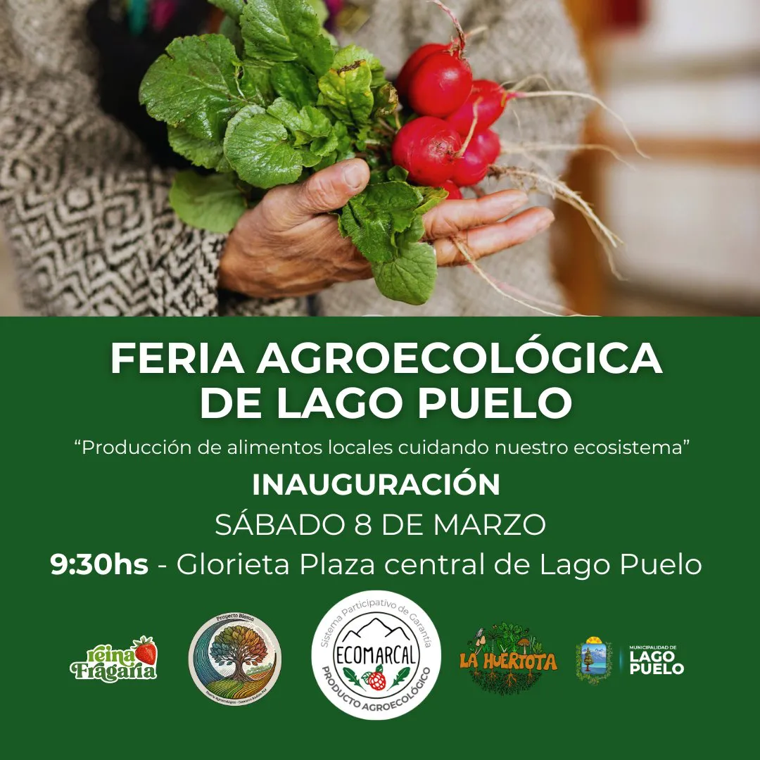 feria agroecologica lp