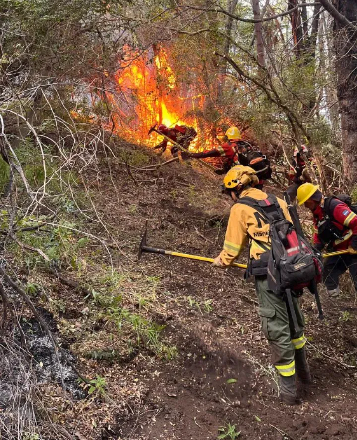 incendio lago menendez 19
