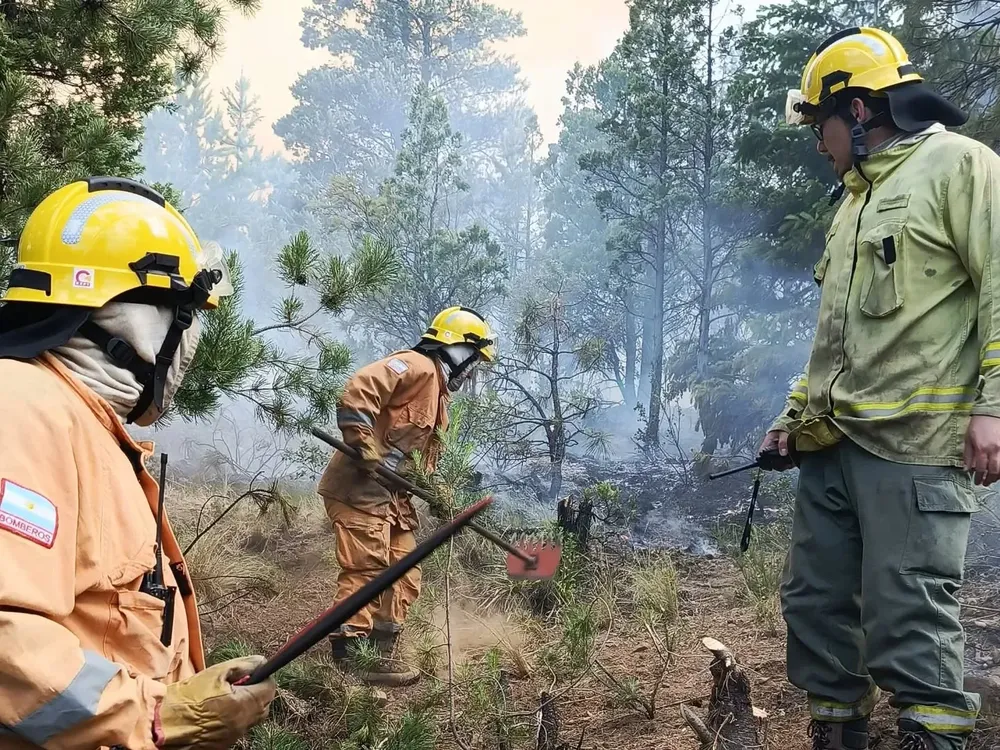 incendio pedr 3