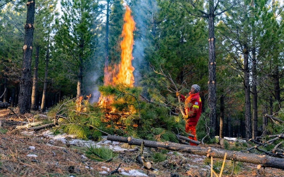 1729688574WhatsApp Image 2024-10-23 at 8.53.21 AM