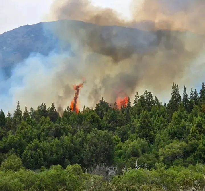 51665613-9237-4680-8835-caceb6bcca93