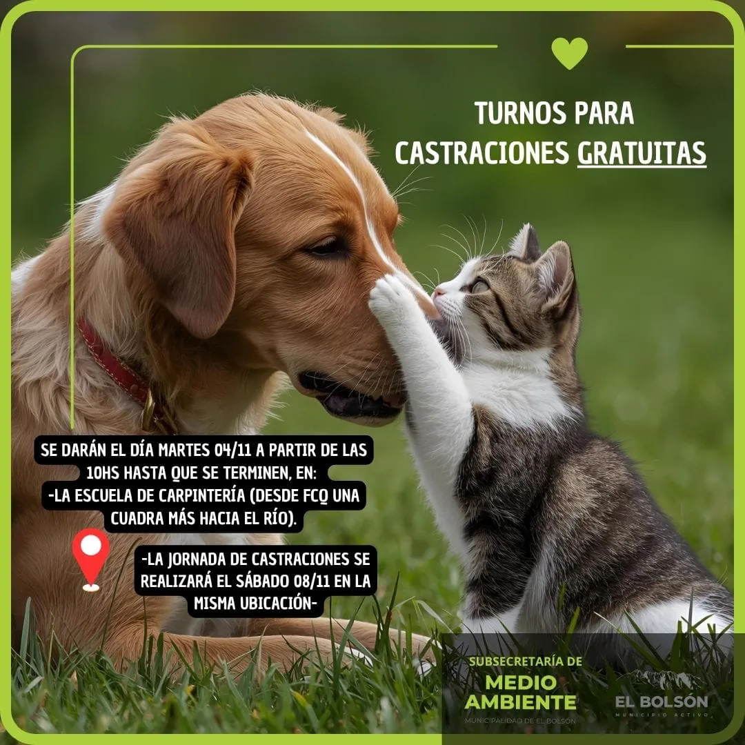 castraciones nov 1