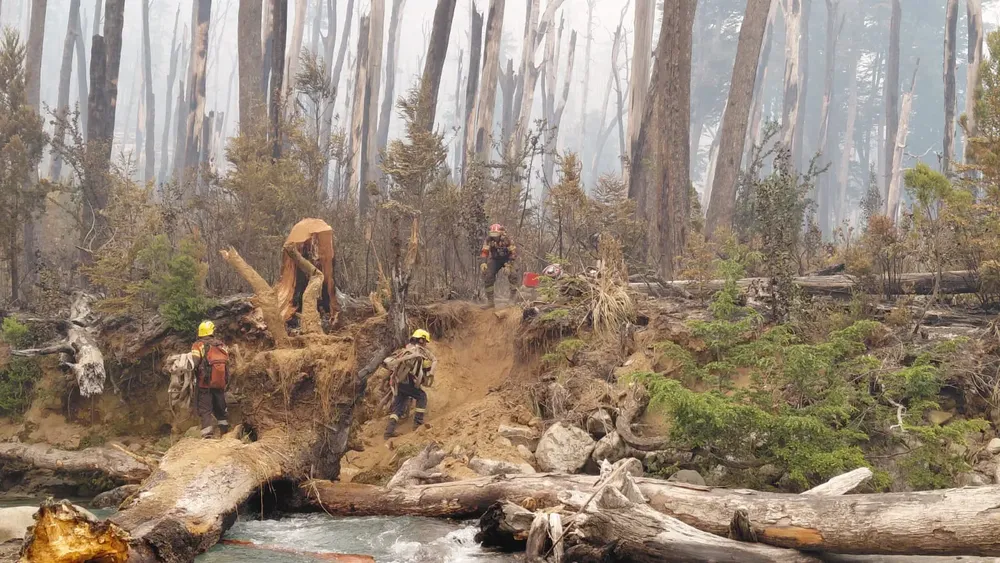 incendio el turbio 18