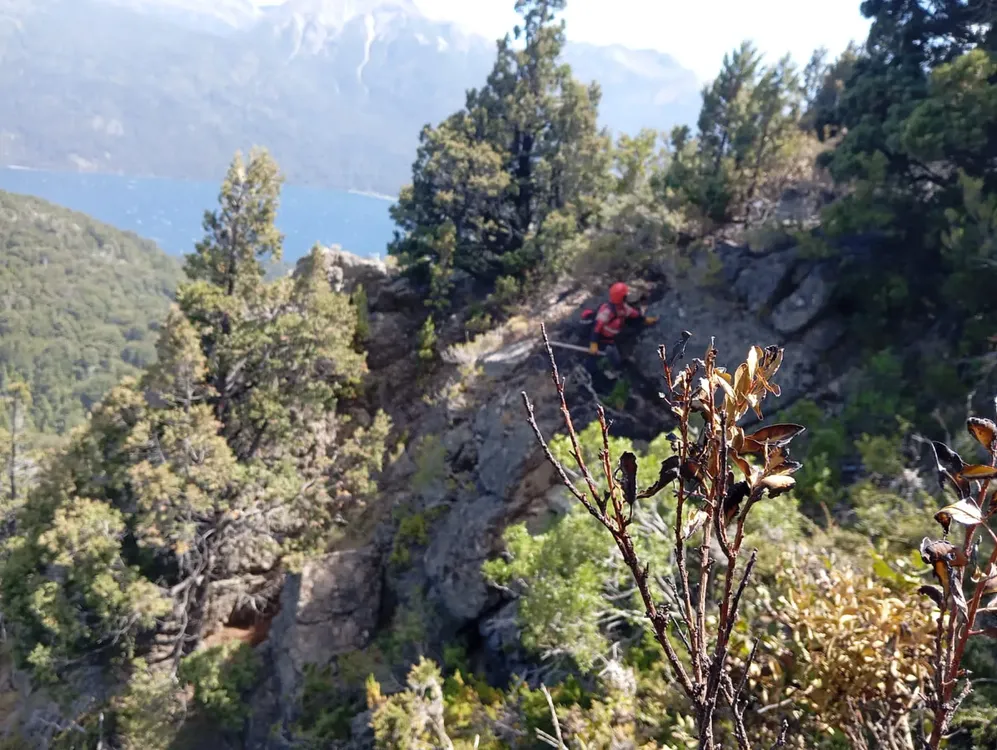 625985185_1368138438689936_6858305492302460345_n