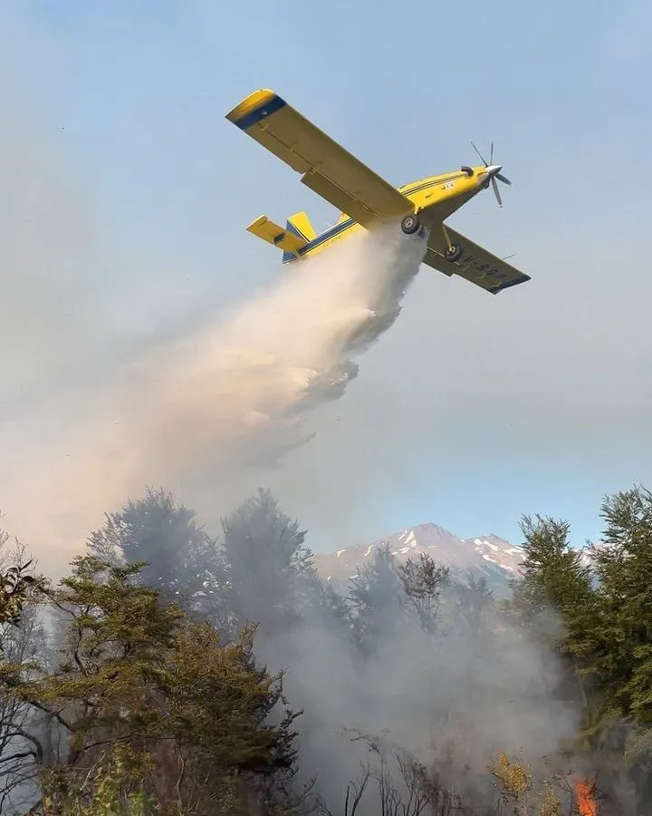 WhatsApp Image 2024-11-28 at 10.01.59