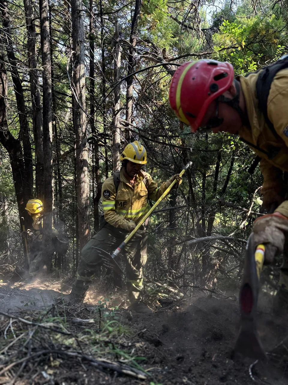 aef92eff-6c67-43e7-a6ae-f2fcc0adb36a