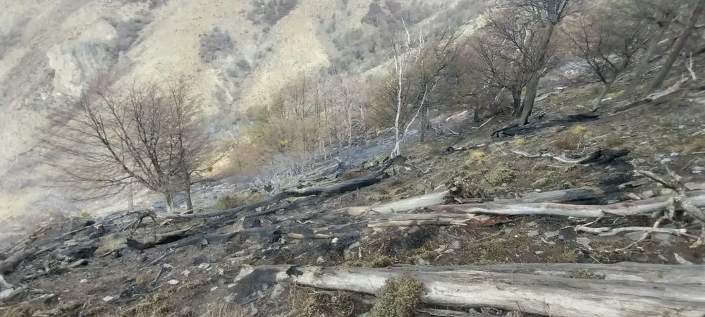 incendio naciente chubu a