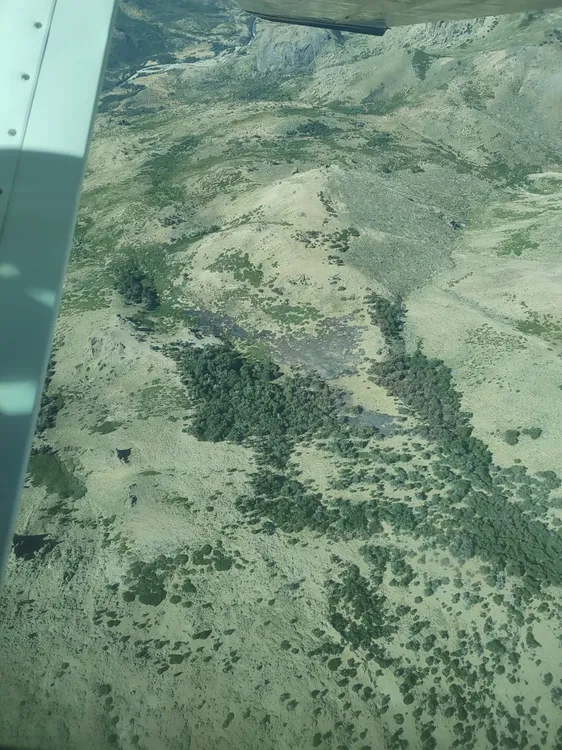 incendio antilef exting