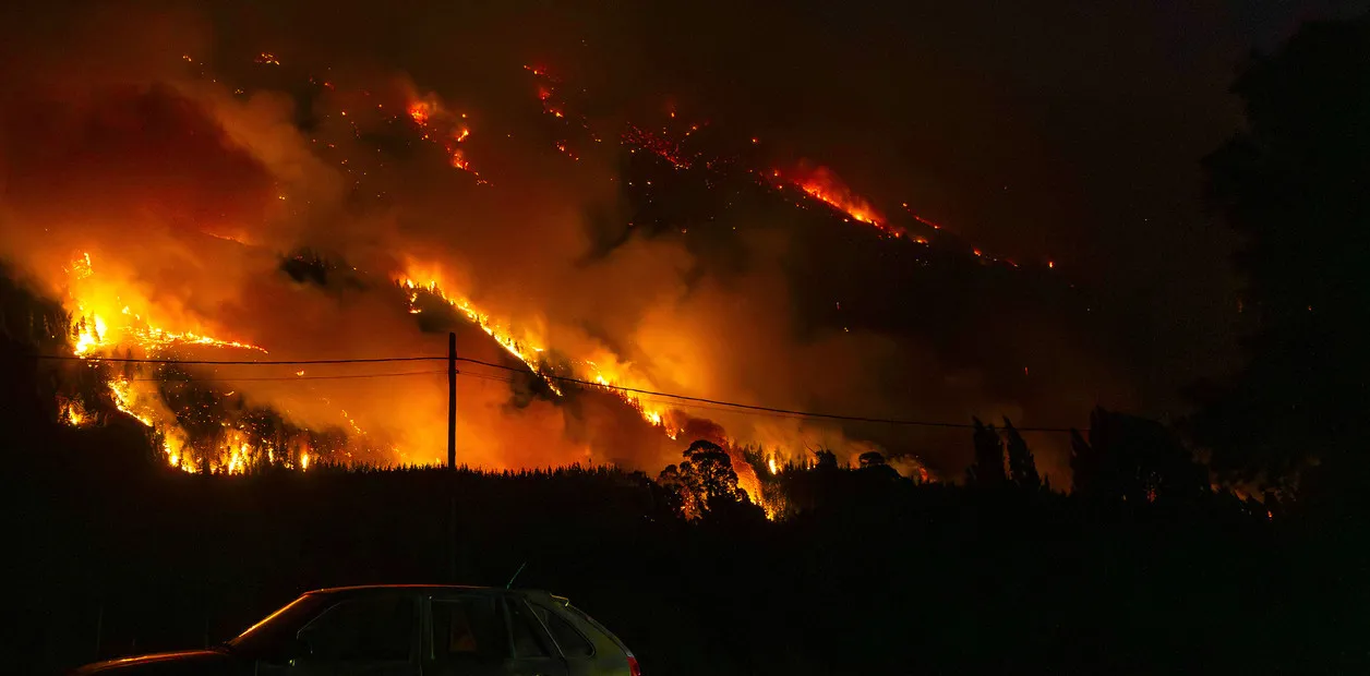 ZtSiUMaZt_1256x620__2