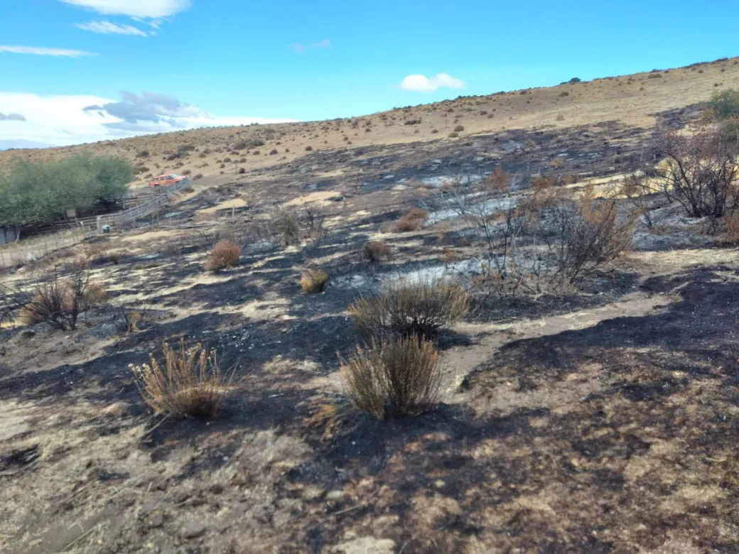 incendio cuesta del ternero marzo 2