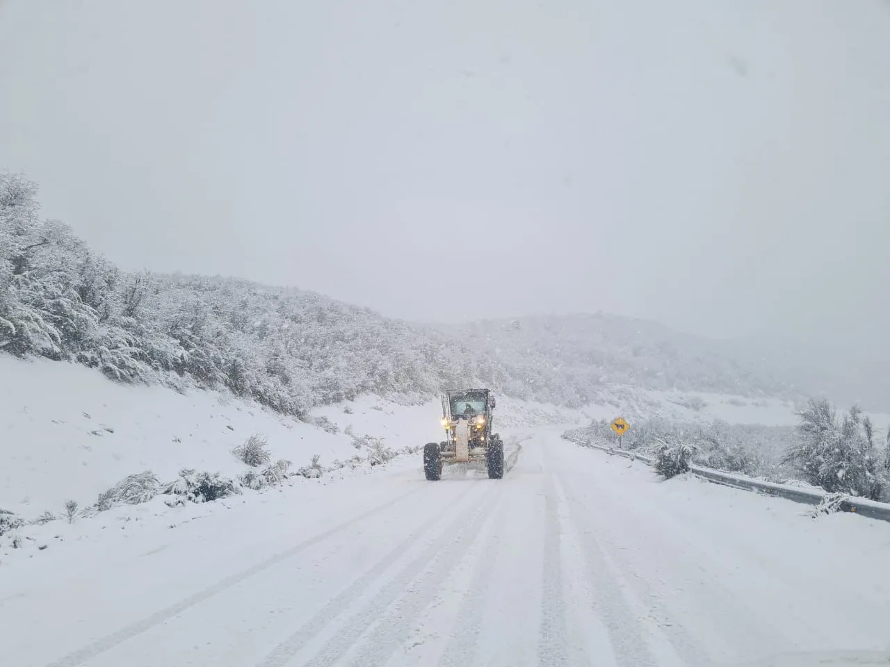 ruta 40 nieve 1 julio