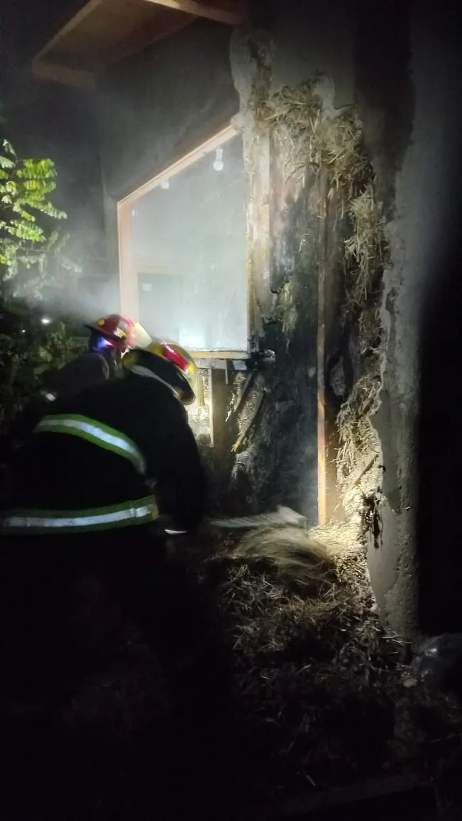 incendio adobe 1