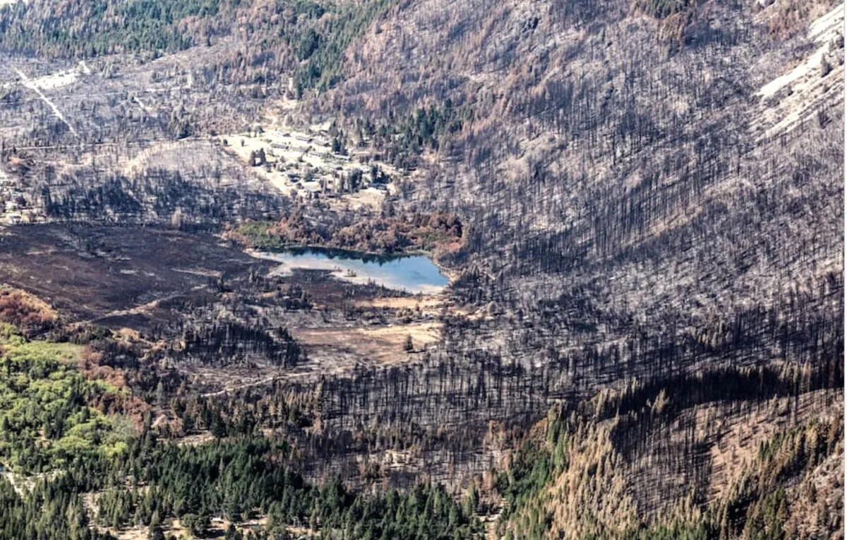 puerto-patriada-quemada