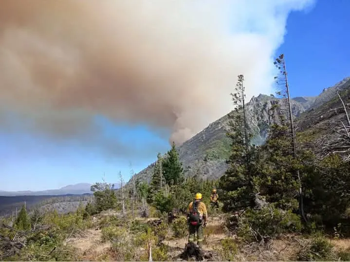incendio epuyen 26