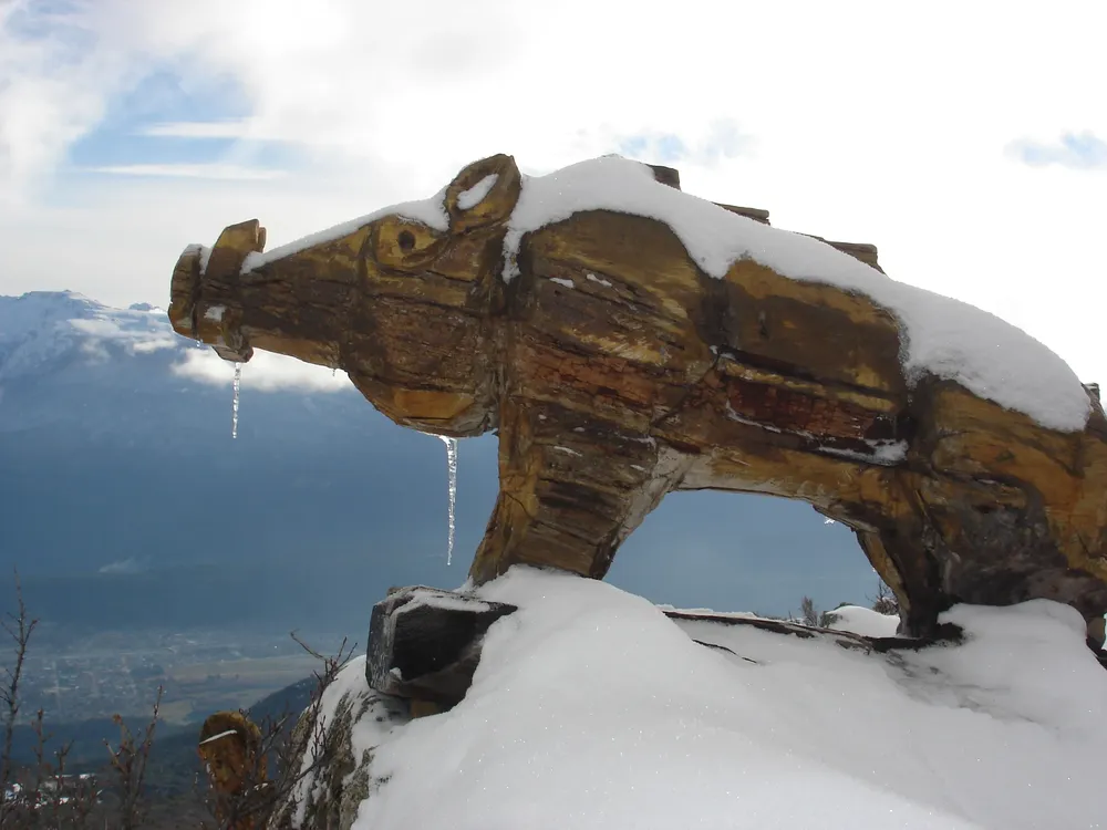 bosque tallado invierno