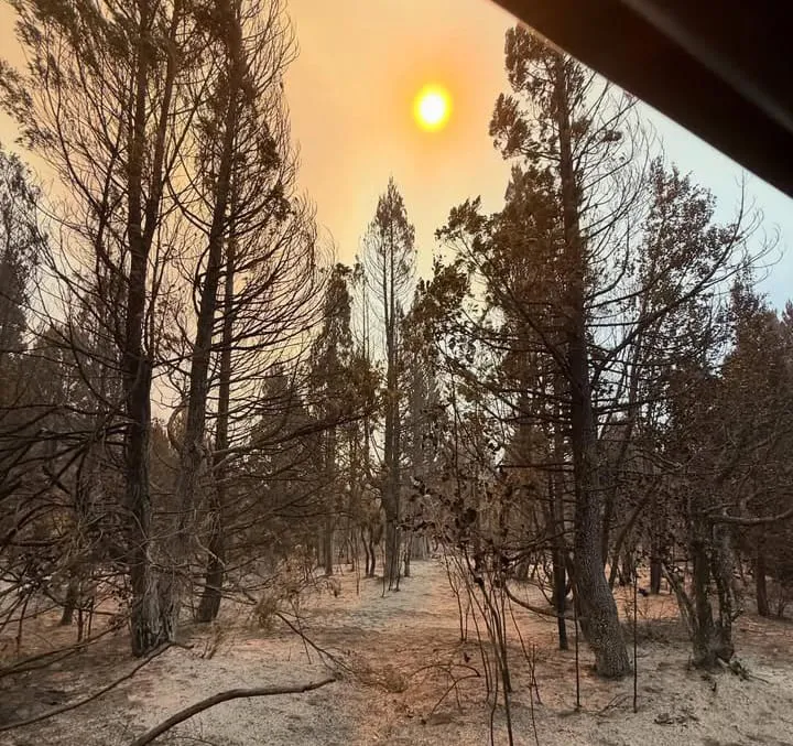 9a32f275-d911-4341-be15-fa763550f36d