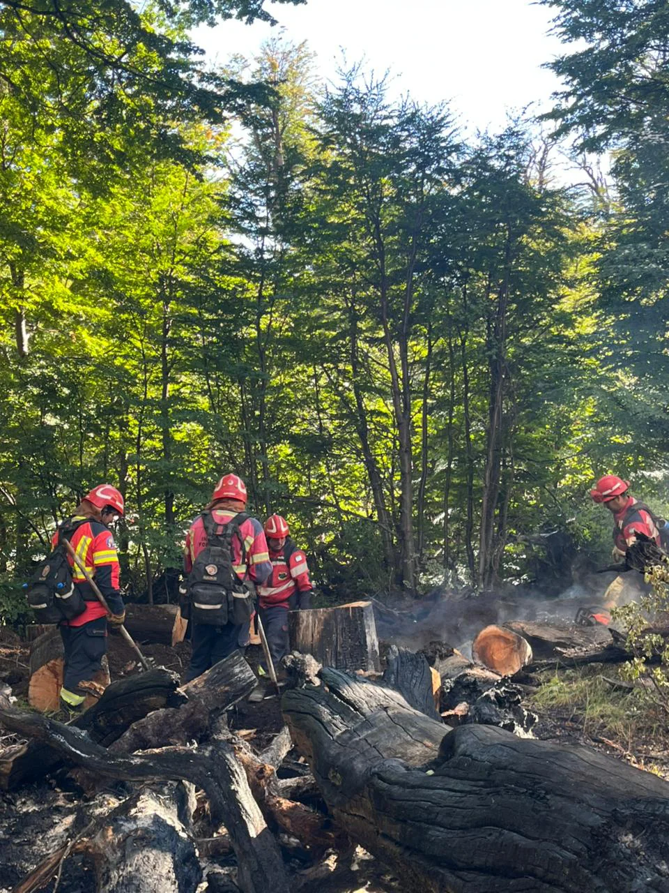 WhatsApp Image 2026-03-06 at 09.19.50