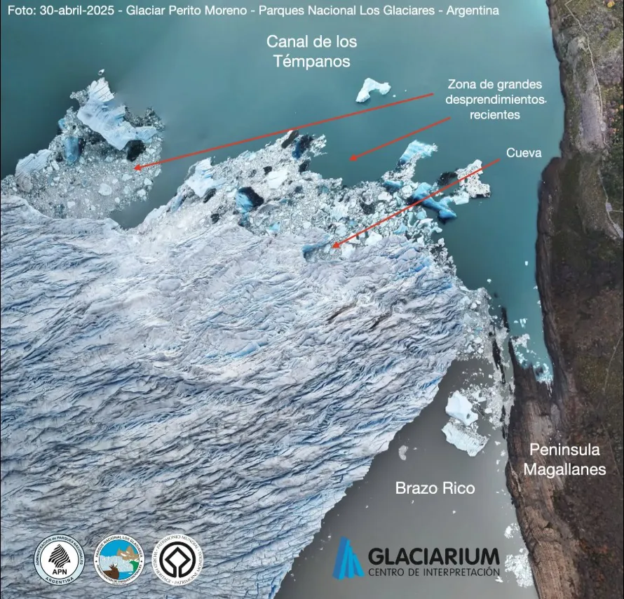 WhatsApp Image 2025-05-08 at 10.00.46