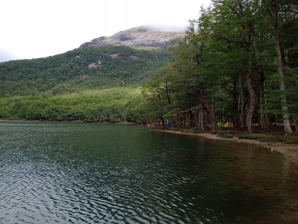 WhatsApp Image 2026-02-05 at 19.13.18 (1)