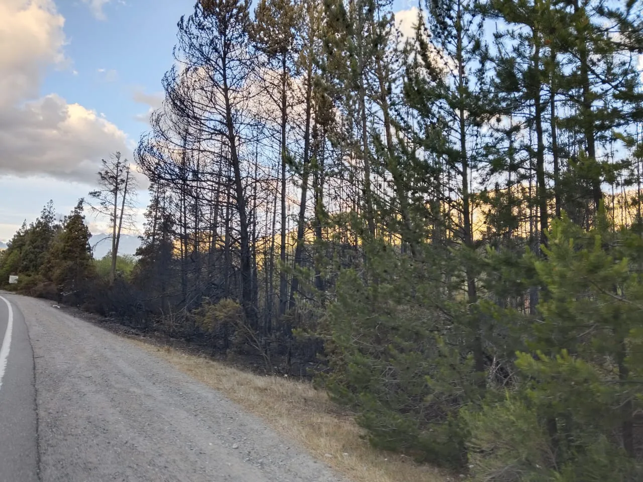 incendio los fuegos 4