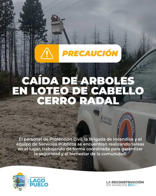 caida de arboles radal