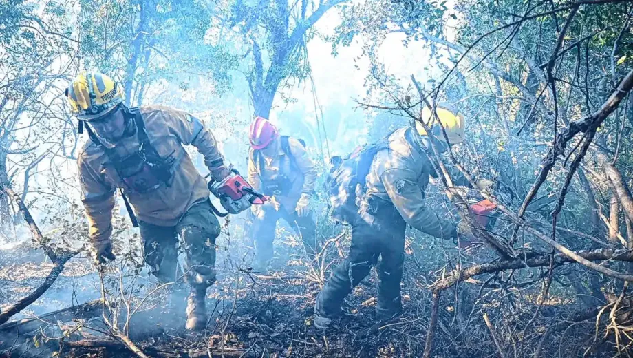 Bariloche-Incendio-Forestal-Cerro-Otto-foto-Alfredo-Leiva-14