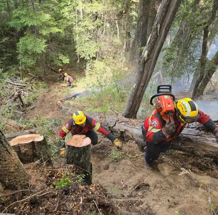 2fbdf4ed-8859-439a-97a1-53c7a6421bfc