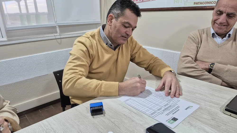 licit tren patagonico 2