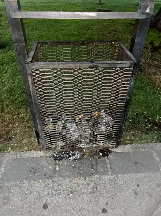 WhatsApp Image 2025-12-10 at 10.00.50