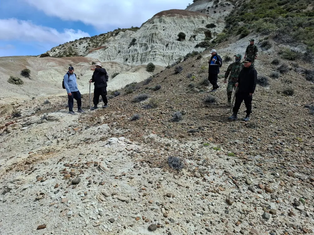 busqueda comodoro 13