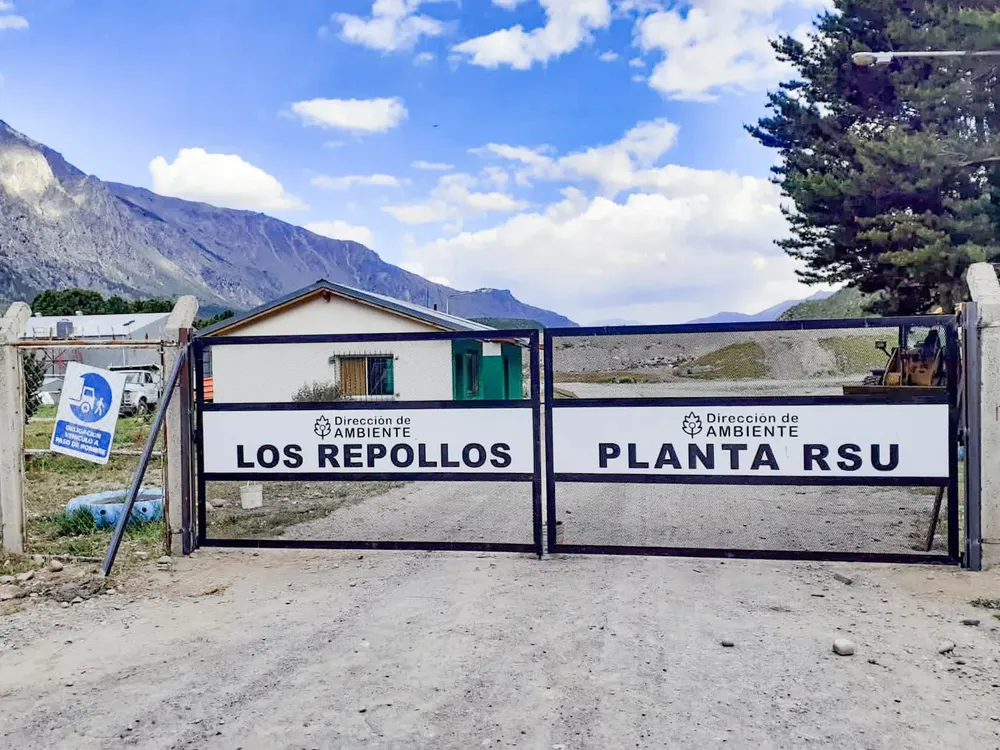 planta los repollos