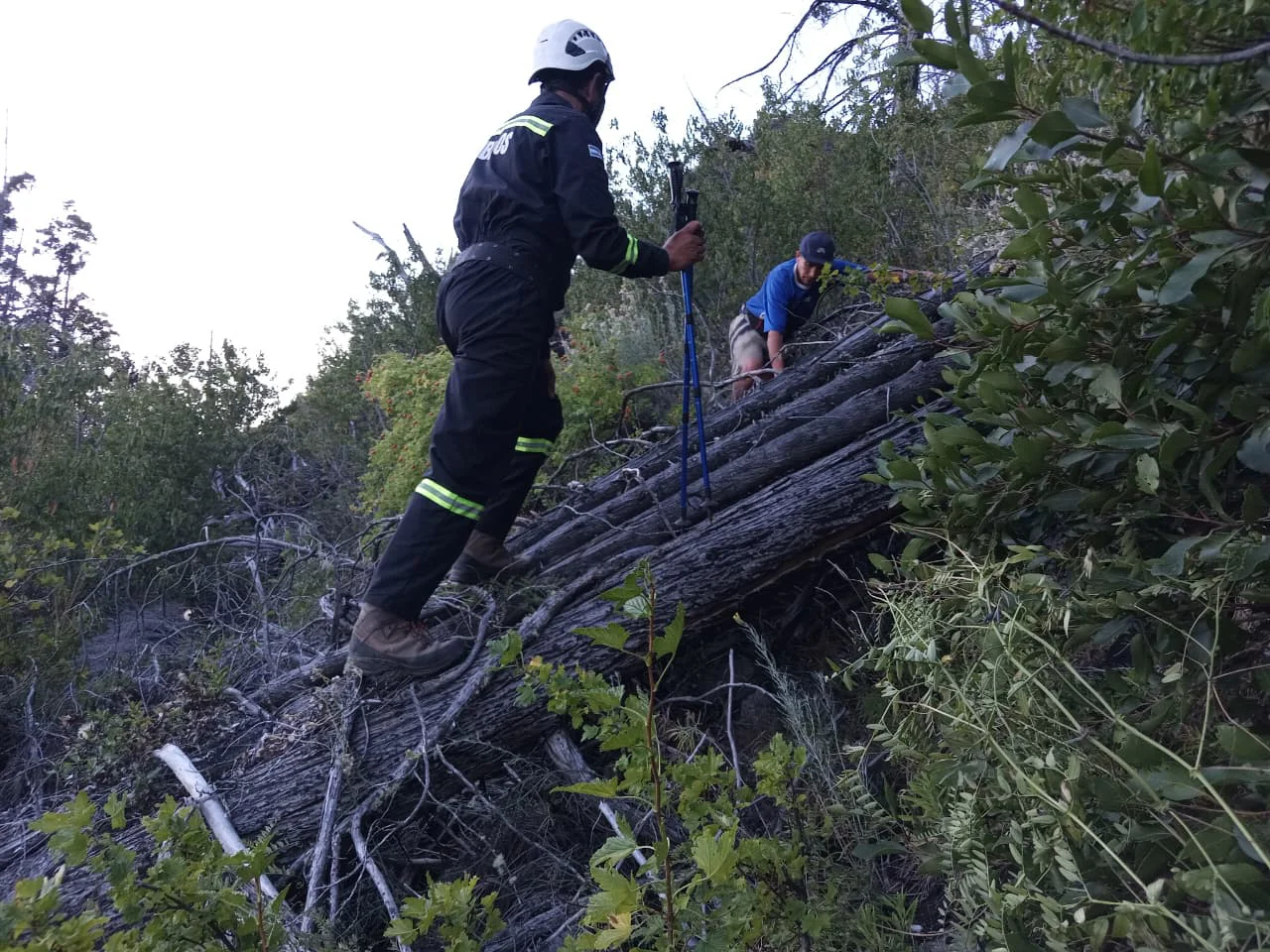 WhatsApp Image 2026-02-25 at 10.36.47