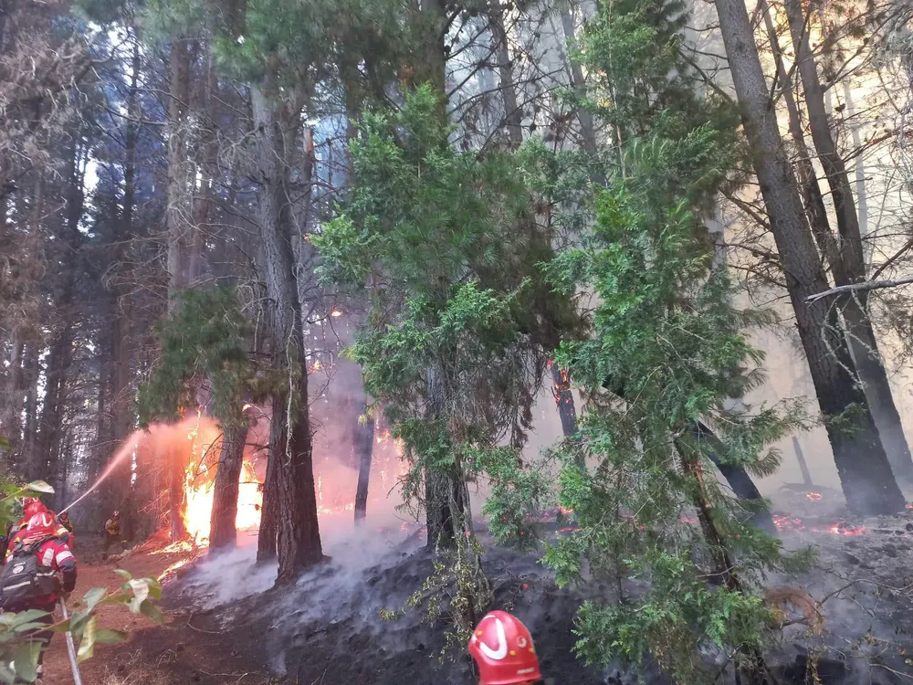 incendio los cipreses 2