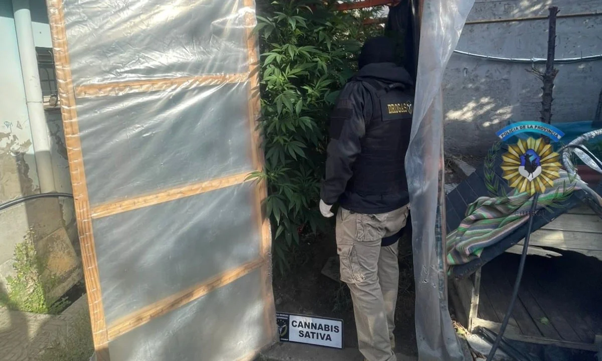 644271141_1576773650666239_2192893728724153850_n