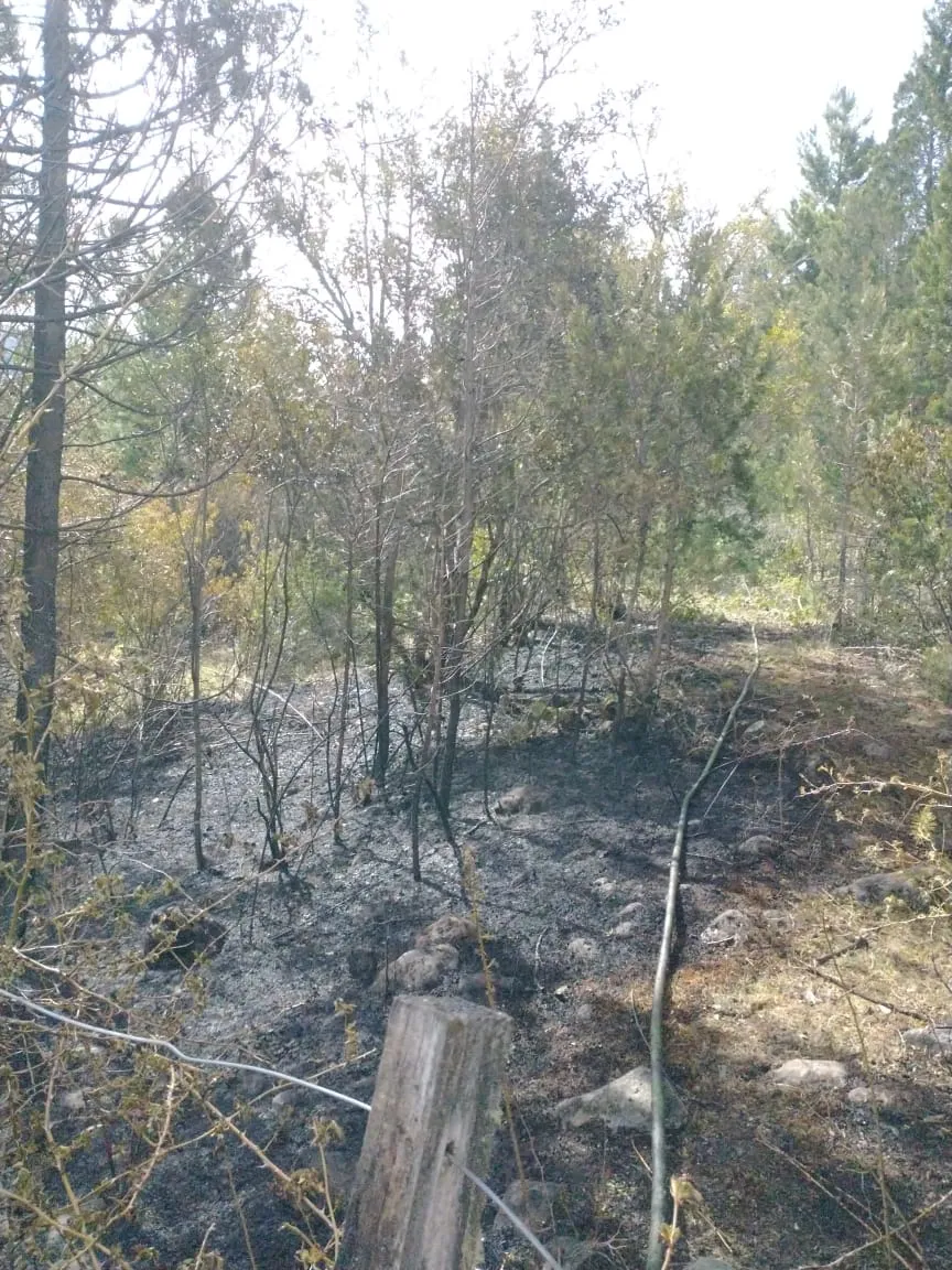 incendio mallin 2