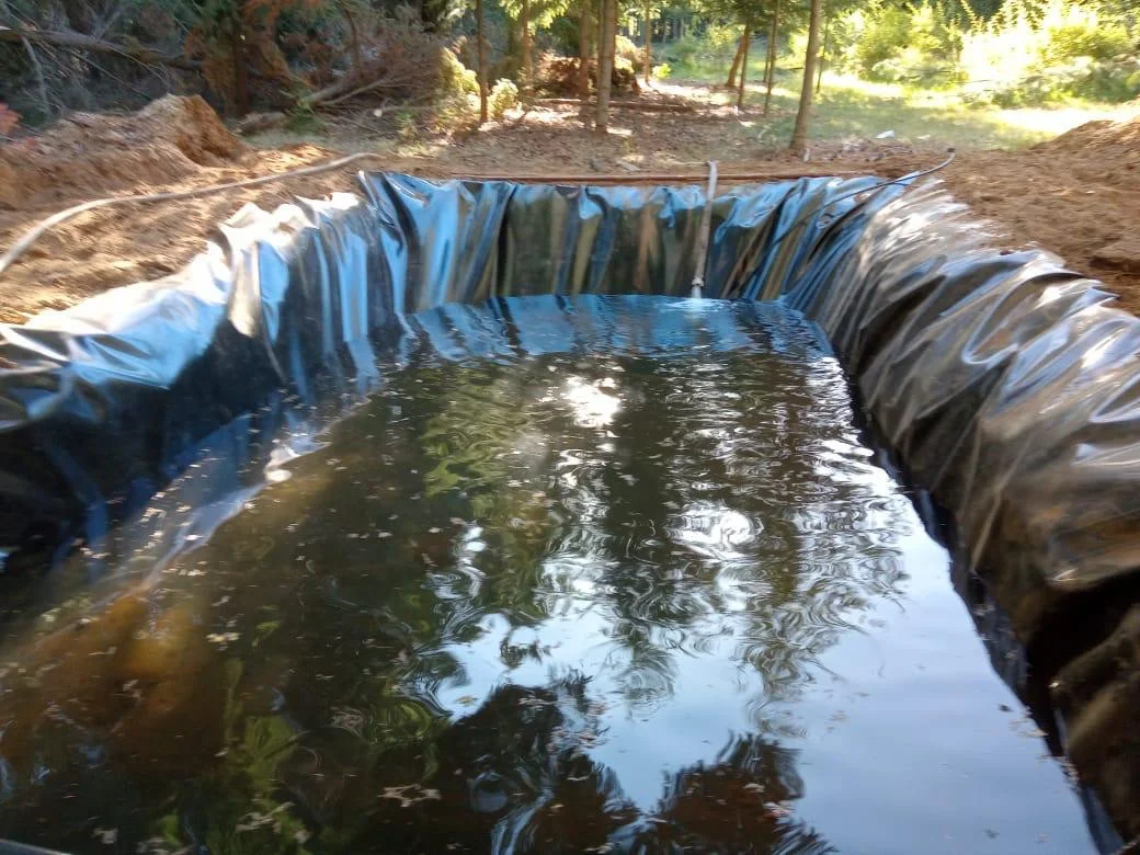 1772023895_f215bf4441f02488ed67