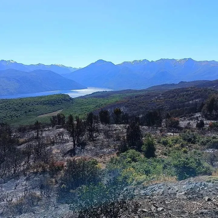 incendio los alerces 33