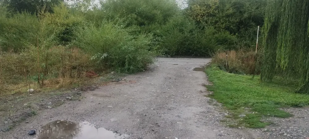 2b94a2c8-fba6-4f7b-b2da-32e12e8041f6