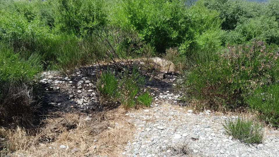 incendio quemquemtreu 2