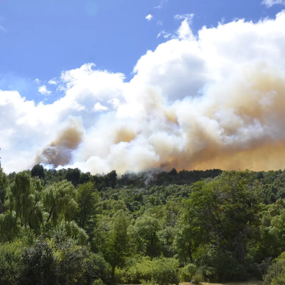 incendio los alerces 22
