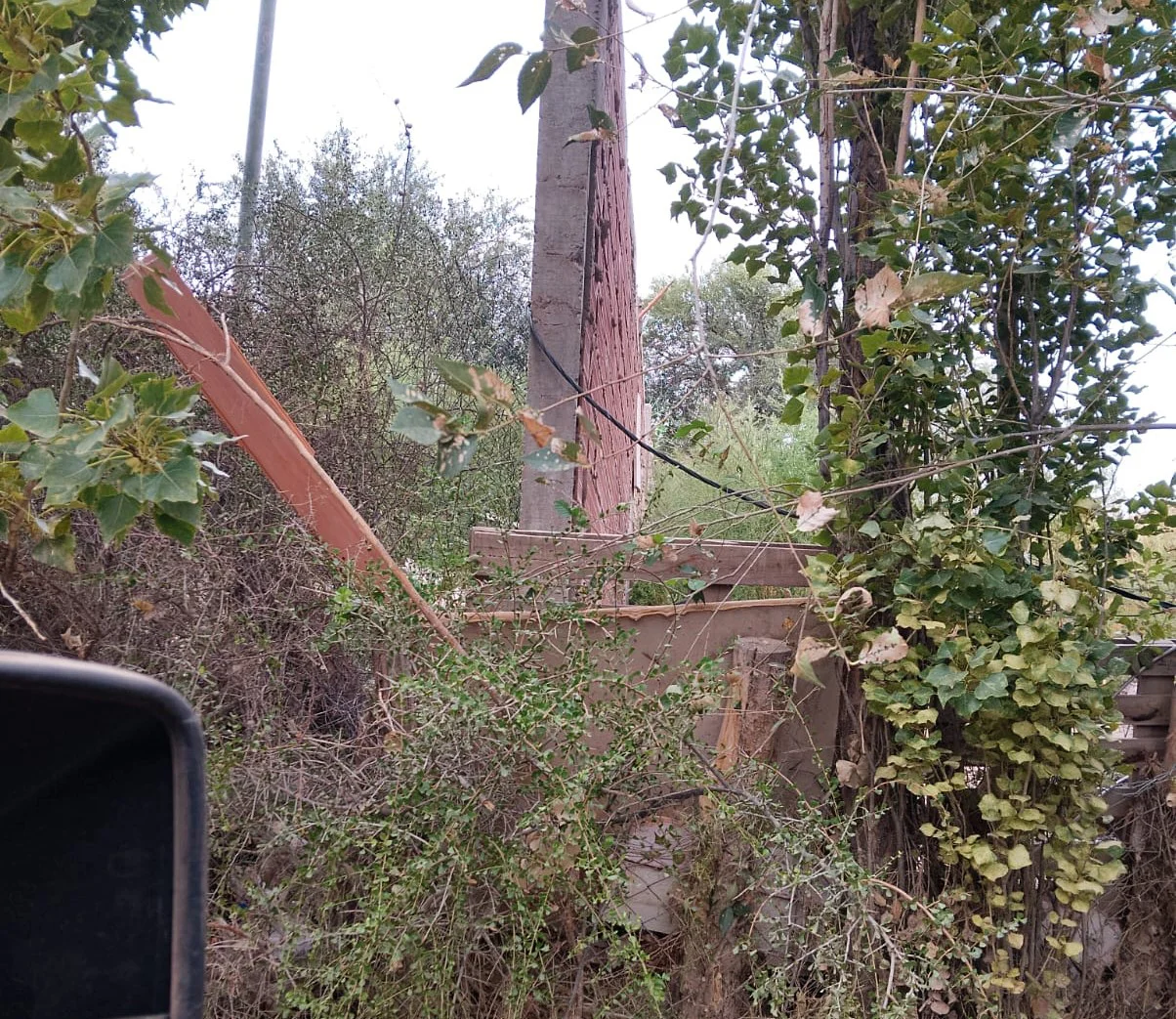 505f5b58-9662-48ab-99f2-2c5013cd3882