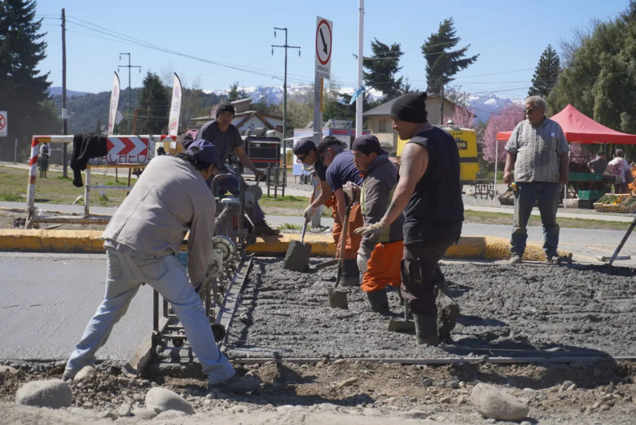 bacheo bari