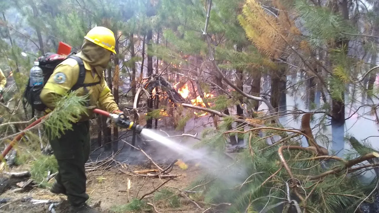 21.02.01_incendios_en_la_patagonia_13