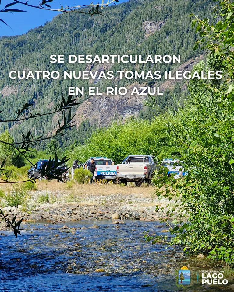 tomas lp 1